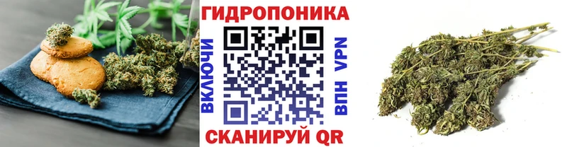 Купить  Пионерский  Canna-Cookies конопля 
