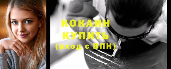 PSILOCYBIN Красноперекопск