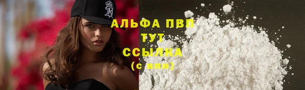 герыч Корсаков