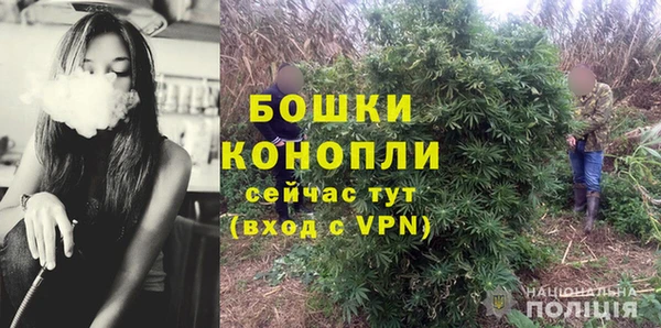 дурь Коряжма